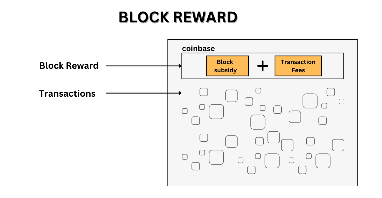 What Is The Block Reward?