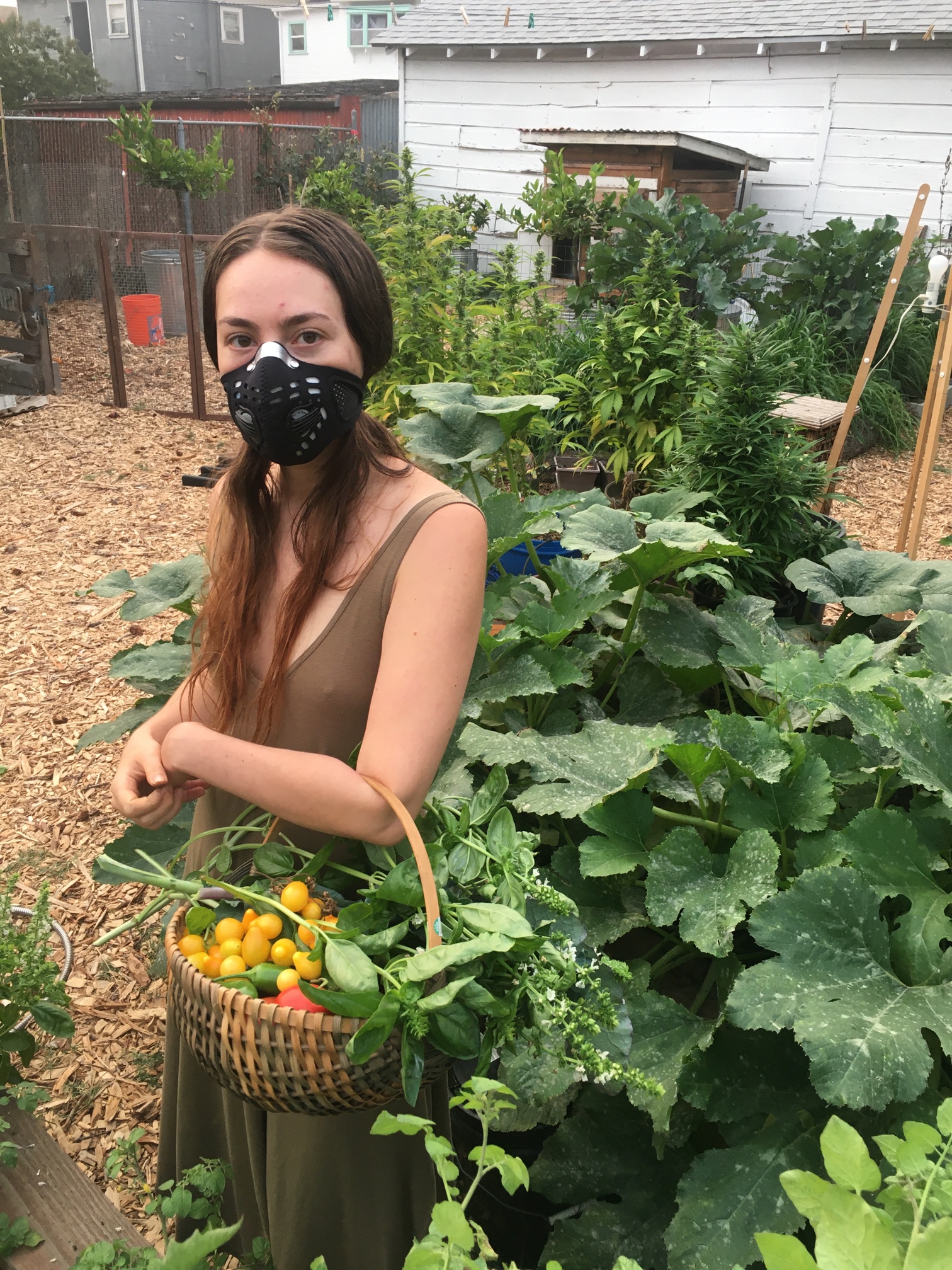 Homesteader Conversations: Urban Farming, Bitcoin And The Future Of Self Sovereignty 4