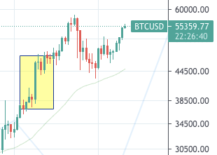 Will Oracle Buy Bitcoin? 2