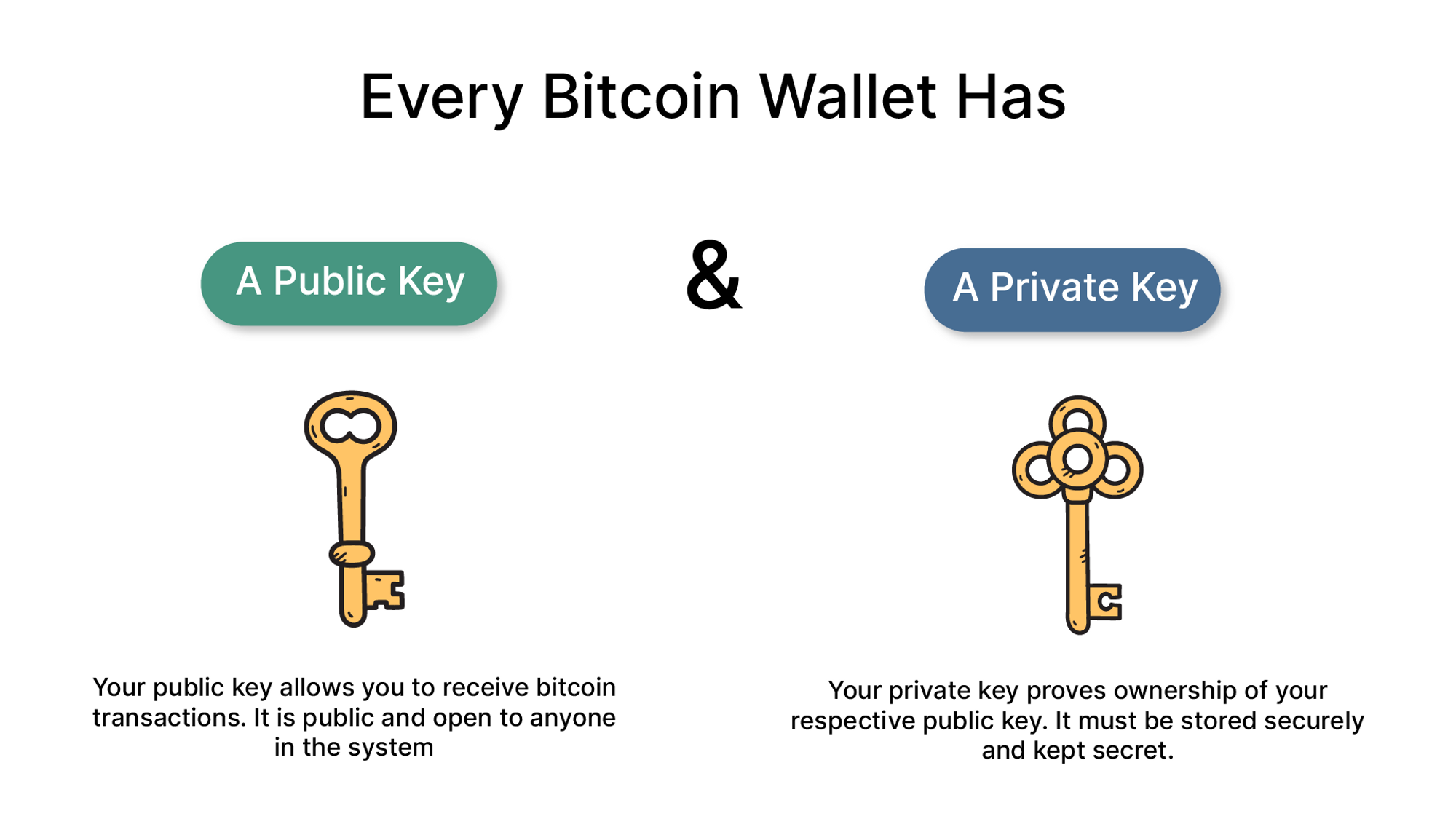 What is a Bitcoin Wallet? A Guide to Storing Bitcoin 1