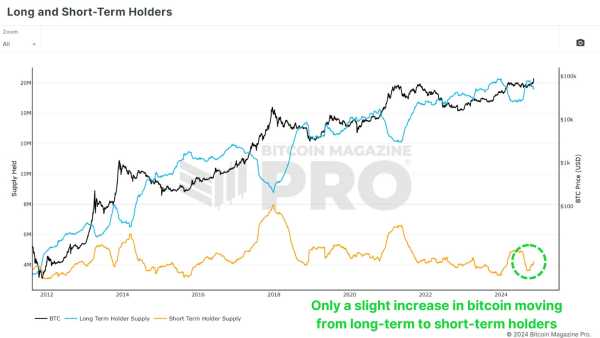 Are Retail Investors Behind The Bitcoin Price Surge This Bull Run? 3