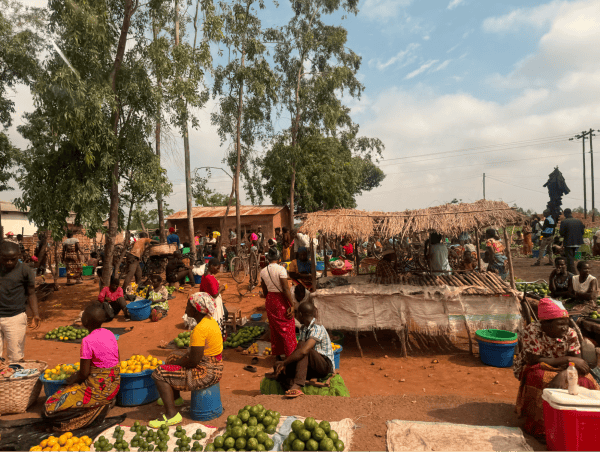 Stranded: How Bitcoin is Saving Wasted Energy and Expanding Financial Freedom in Africa 8