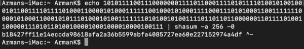 DIY Bitcoin Private Key Project 4