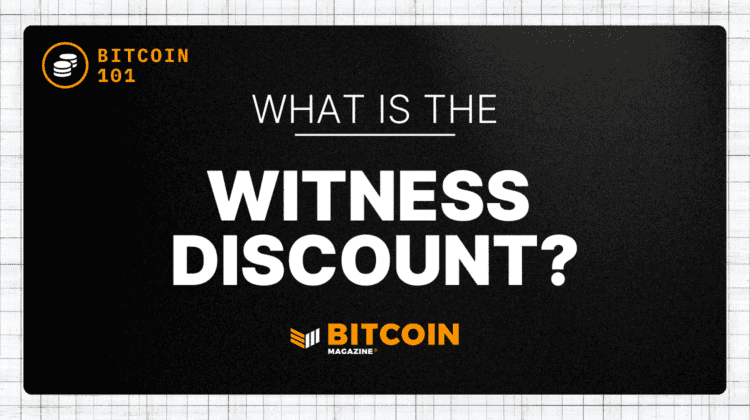 What Is The Witness Discount A Guide cryptoticker-convert-ckb-to-usd