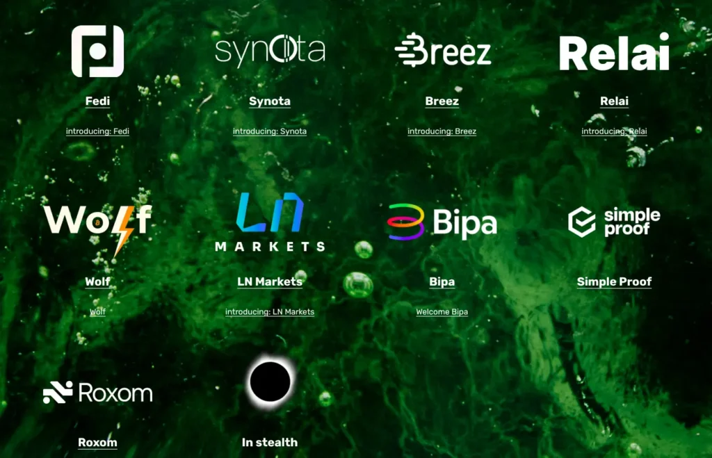 Bitcoin Tech Booms: Lightning Data Defies Digital Gold Narrative 3 Bitcoin Tech Booms: Lightning Data Defies Digital Gold Narrative
