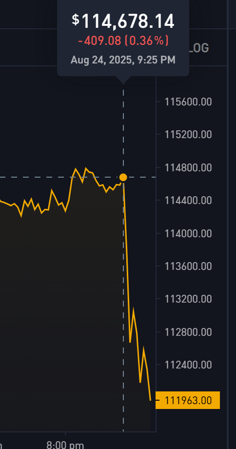 Bitcoin Price Drops Again — And Nope, It’s Still Not Because of the Fed 1 bitcoin price flash-crash Sunday Aug 24