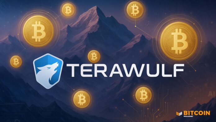 Bitcoin Miner TeraWulf (WULF) Stock Jumps 25%