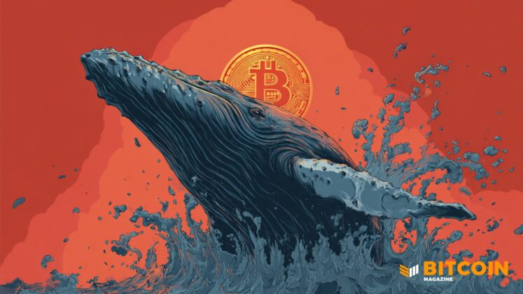 bitcoin whale