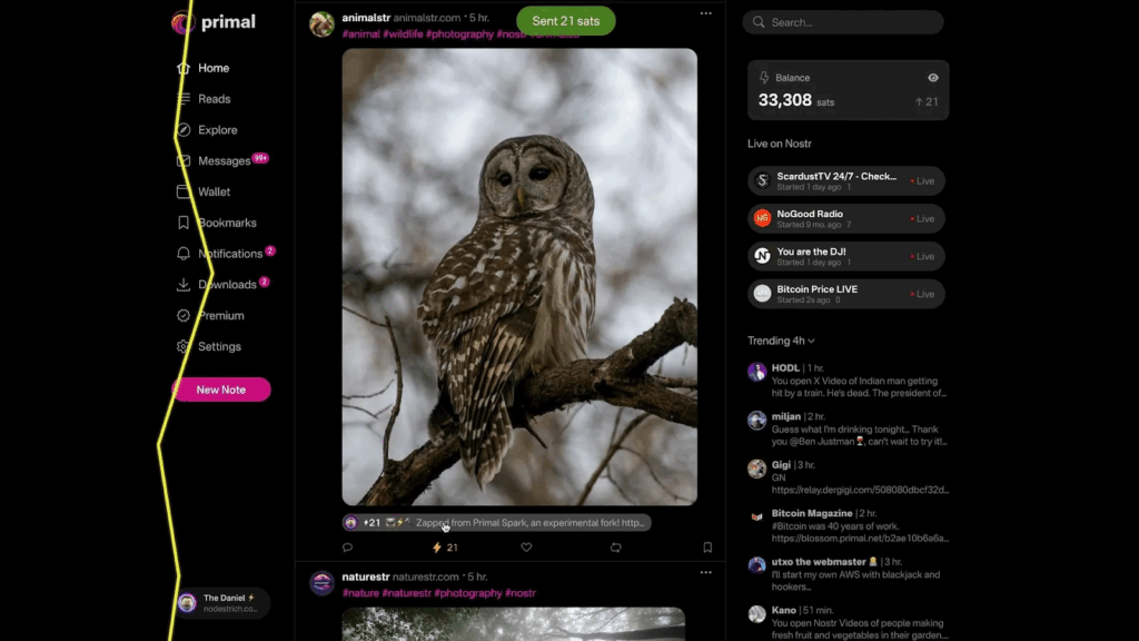 Time2Build 2025 Winners: Breez Awards Bitcoin Prizes for Lightning Integrations in BTCPay Server, Primal, and More 4