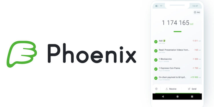 Top Self Custody Bitcoin Wallets for 2026