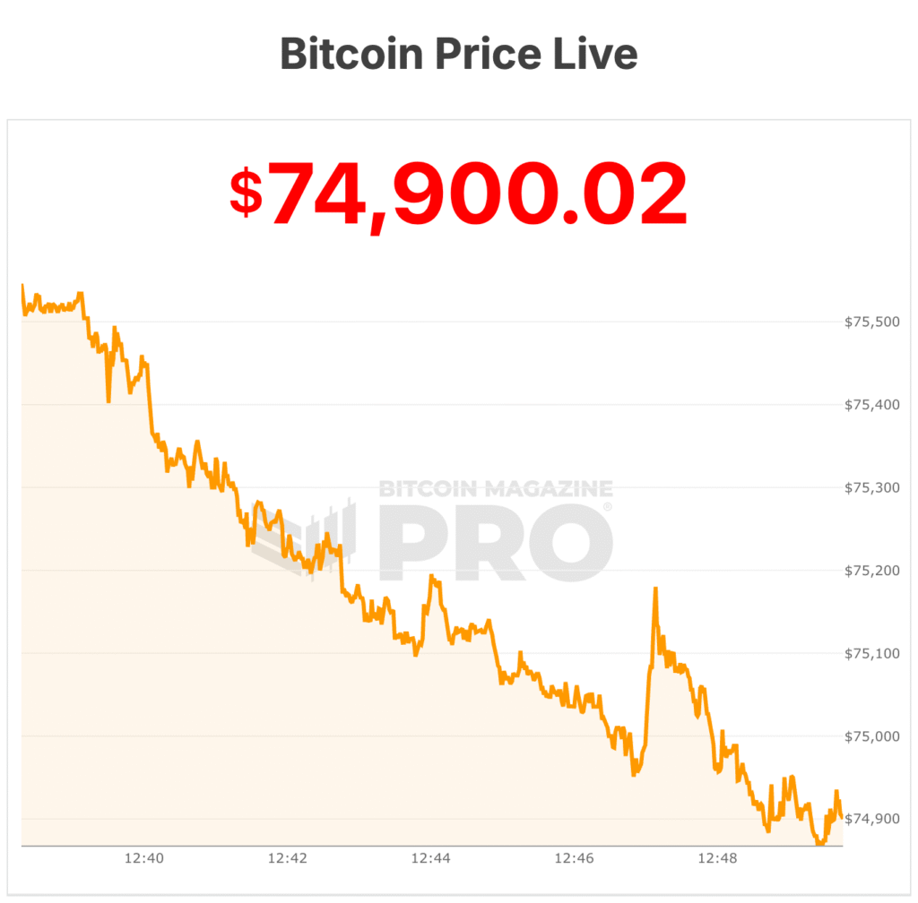 Bitcoin Price Plunges 40% From All-Time Highs to One-Year Lows