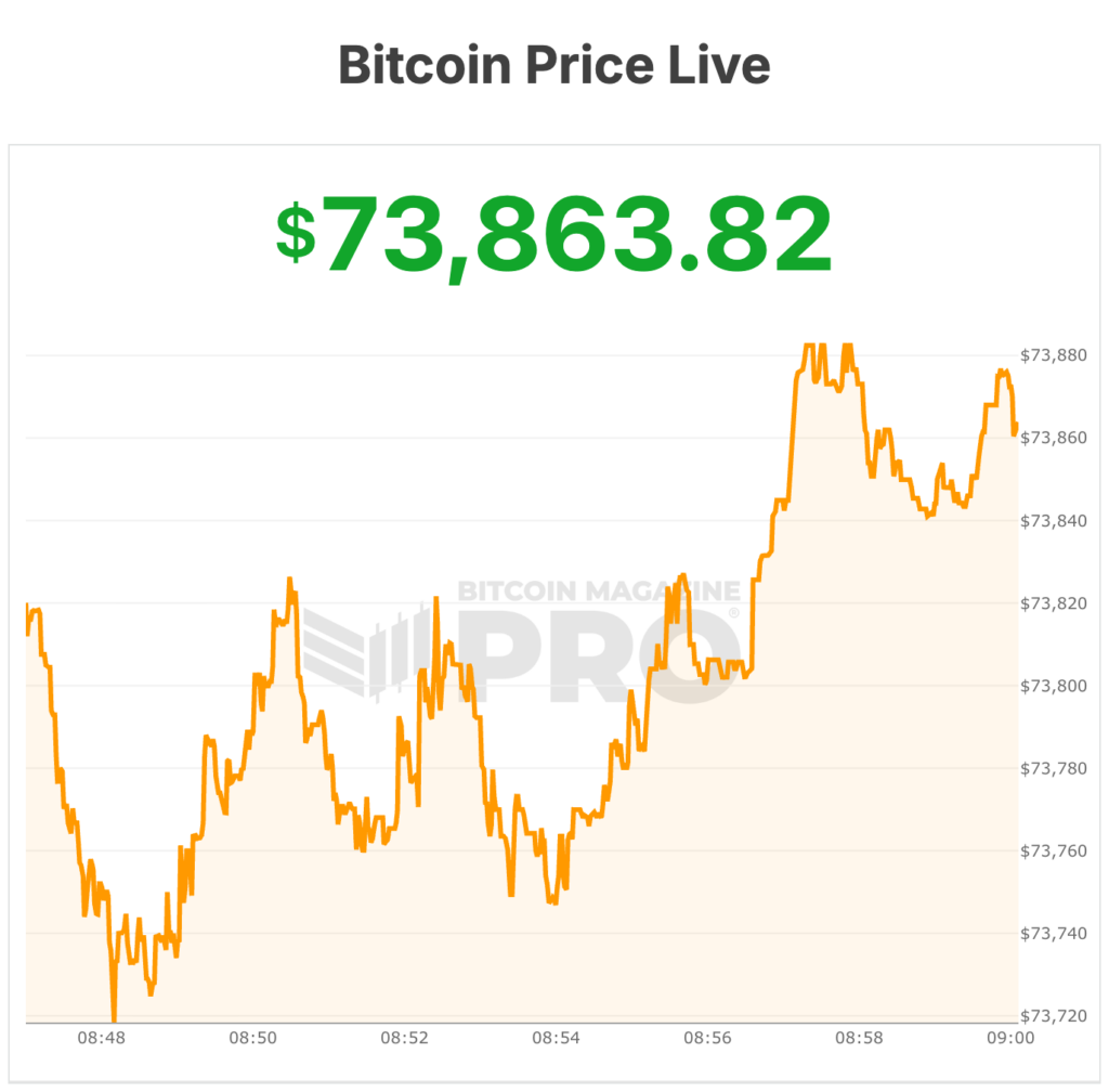 Bitcoin Price Roars Above $74,000 as Market Sentiment Improves 1 bitcoin price