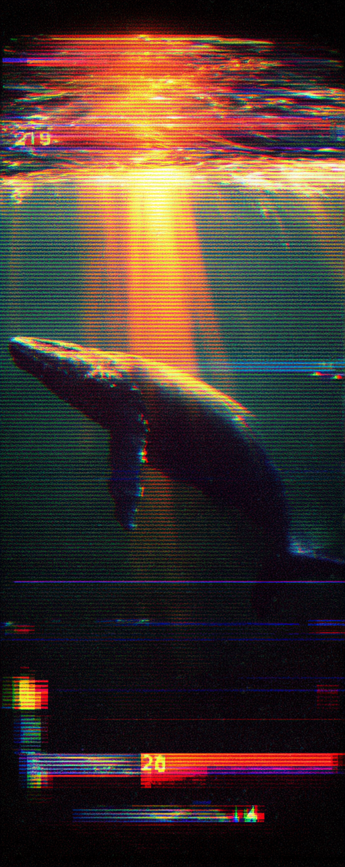 Whale Watch Sponsor