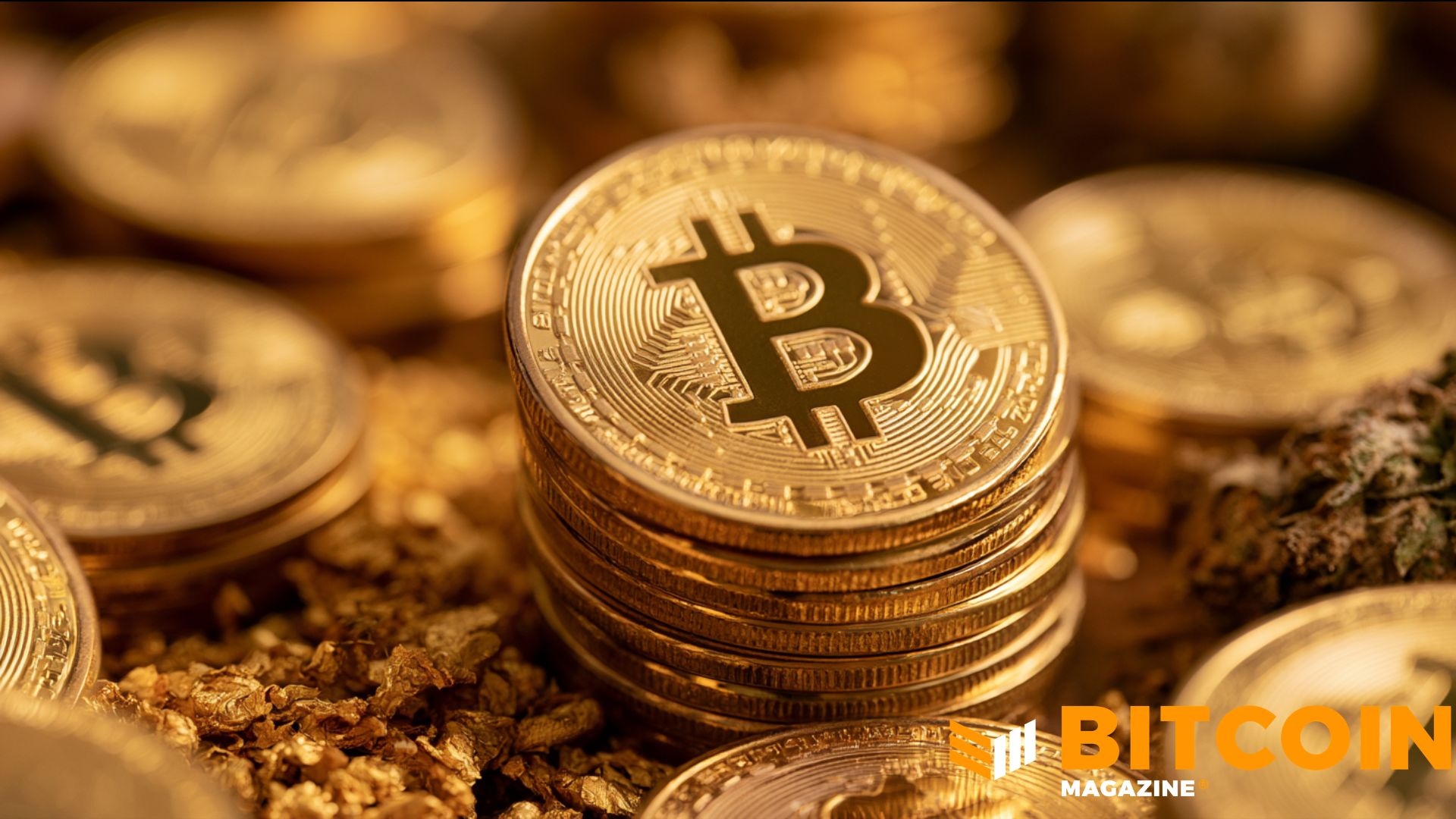 Edelman Financial, Tudor Investment Reveal Significant Bitcoin Holdings 